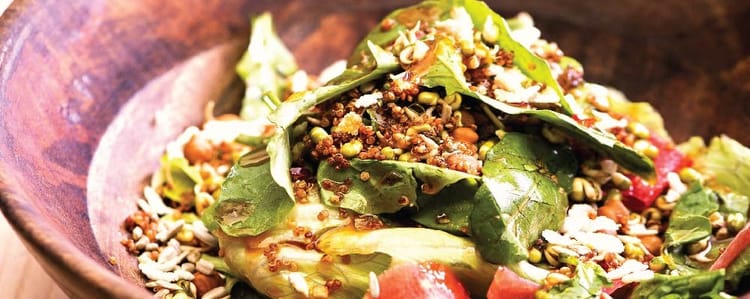 Eat Light, Feel Light