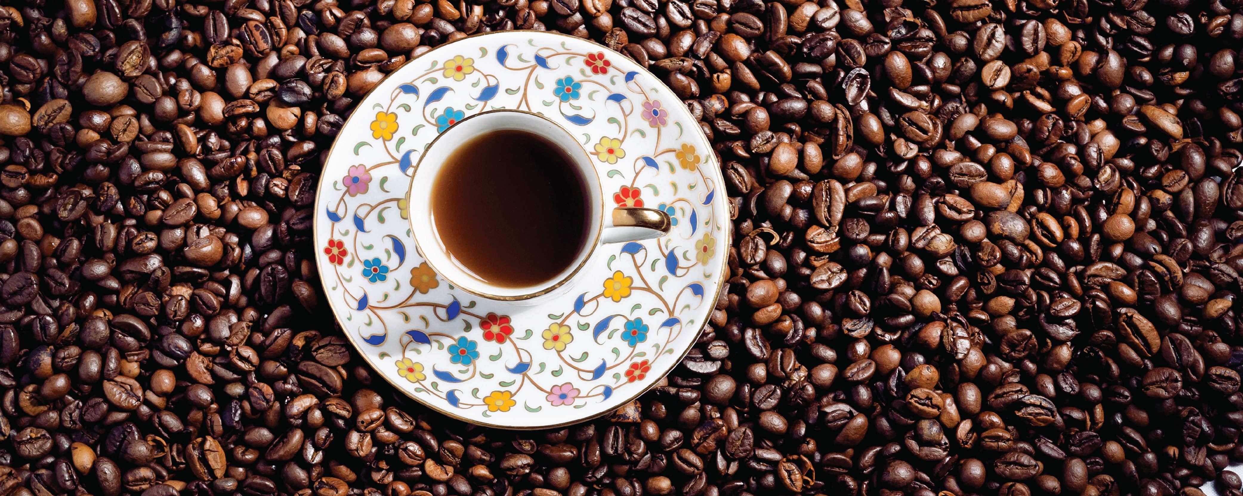 Know your Coffee Bean