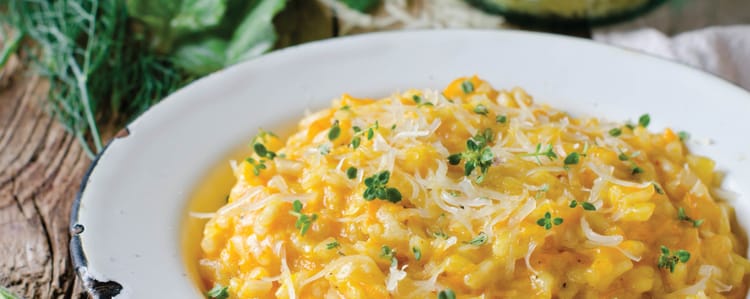 Vegetarianism Taken Seriously!