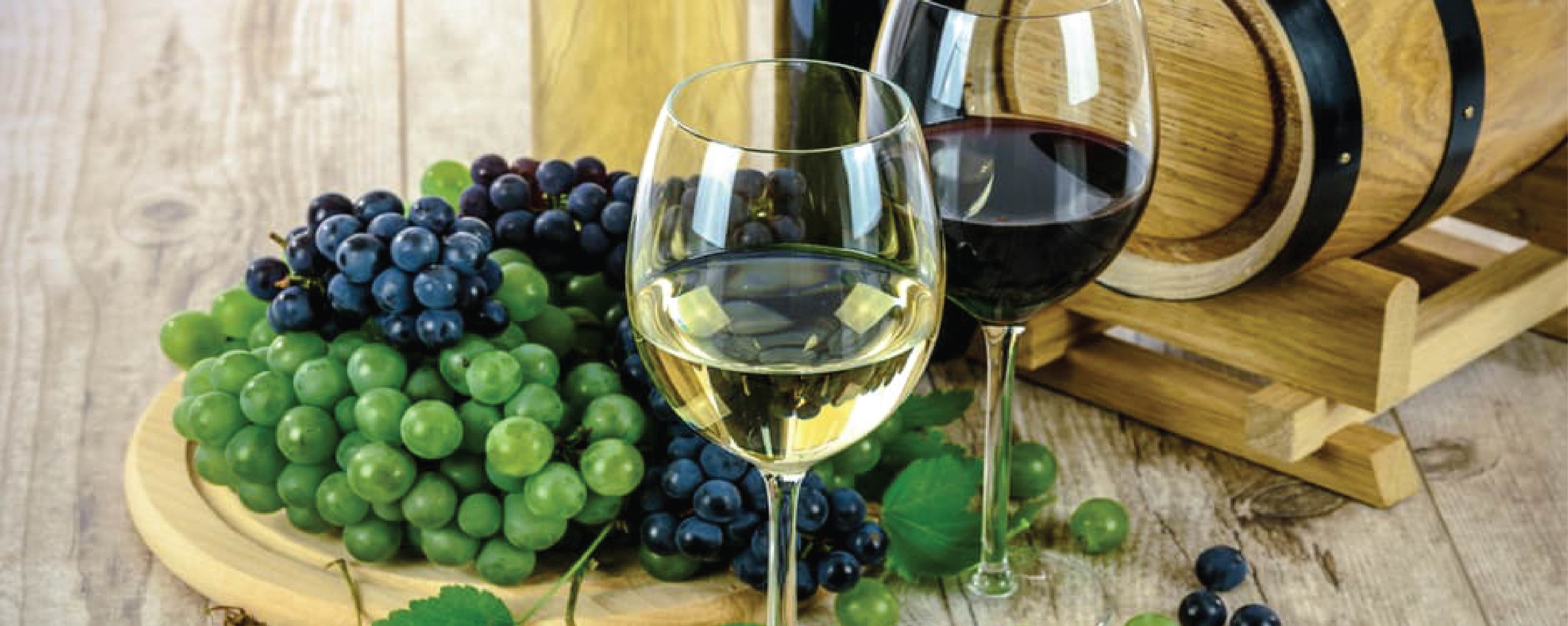 Know your wine, Old world wines, wine storage 
