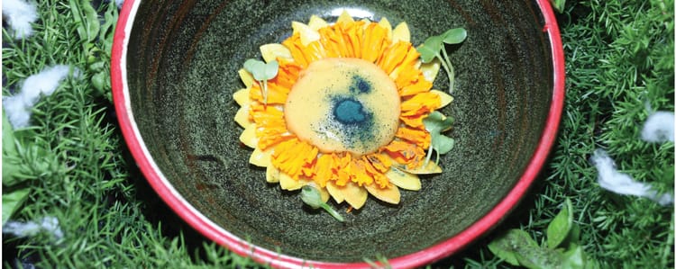 Savour The New, Locally Sourced, 8 Course Set Menu 