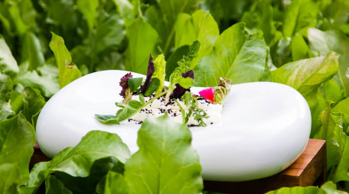 Farm To Table At Pluck, The Pullman Hotel - Delhi
