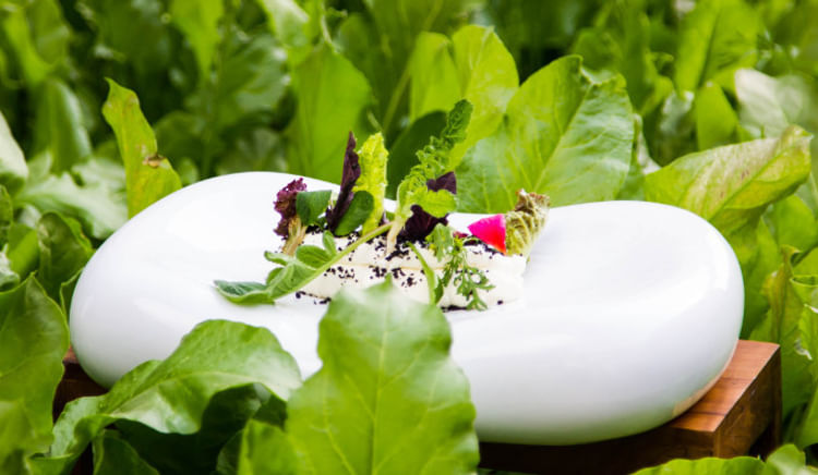 The Concept Of Farm-To-Fork Dining