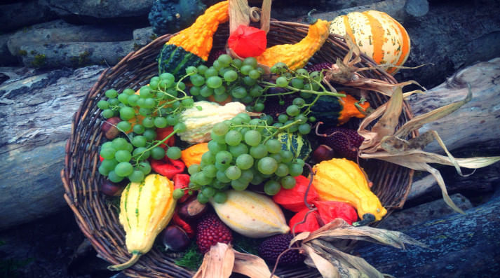Top 3 Sunday Farmers’ Markets In Delhi NCR