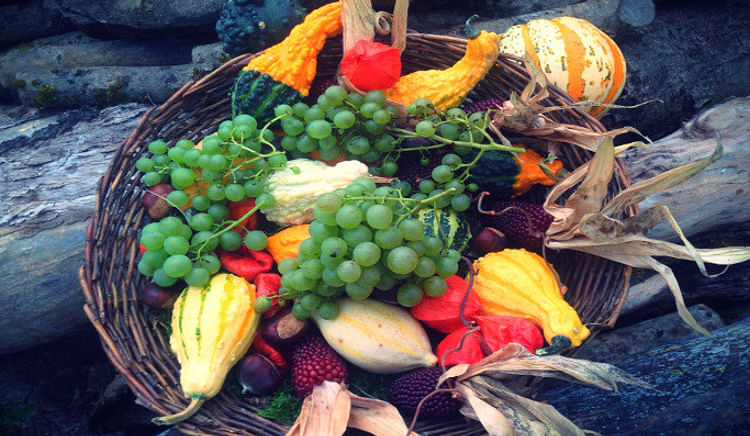 These 3 Sunday Farmers’ Markets In NCR Will Steal Your Heart