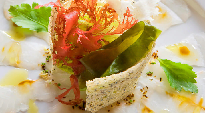 First Taste Of Contemporary Japanese Cuisine In The City