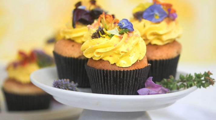 Feast on mango delicacies and gourmet dishes in restaurants in Ahmedabad