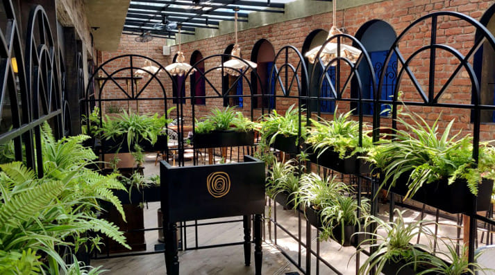 Mexican, Asian, Pubs, Brewpubs, several restaurants now have a second outlet of their popular brands