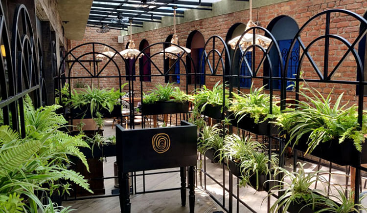 Mexican, Asian, Pubs, Brewpubs, several restaurants now have a second outlet of their popular brands