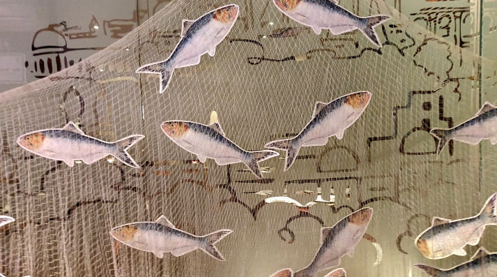 A Dozen recipes of Hilsa is being showcased at the month-long festival at Oh! Calcutta