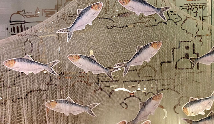 A Dozen recipes of Hilsa is being showcased at the month-long festival at Oh! Calcutta