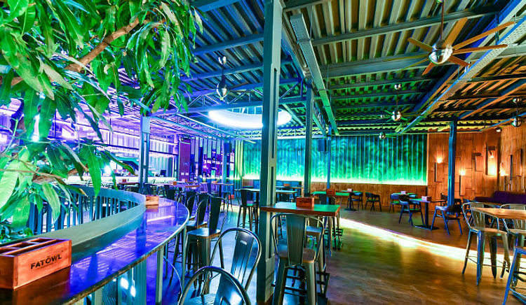 From Japanese to inspired Indian, from pub grub to health food, these new restaurants in Bengaluru have a lot on offer