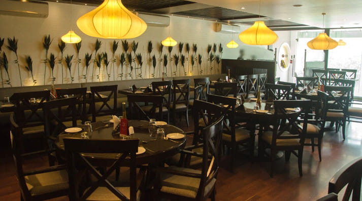 Our top picks to make your dining experience wonderful!