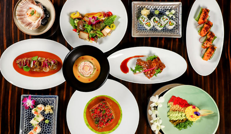 Get ready to savour the delectable Japanese food!