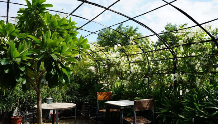 Head To These Sustainable Dining Restaurants For An Earth-Friendly Valentine’s Day In Delhi NCR