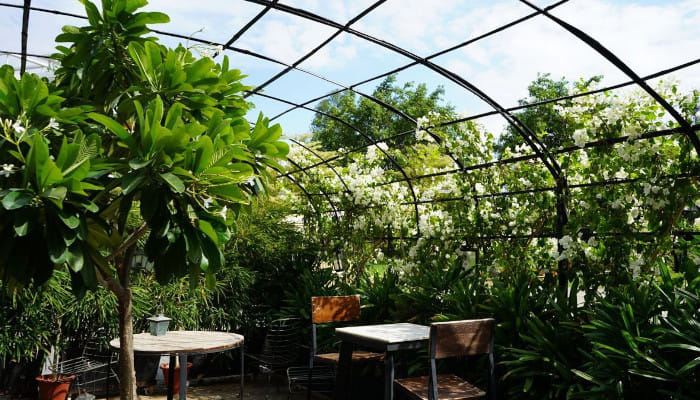 Valentines’ day, the organic way!