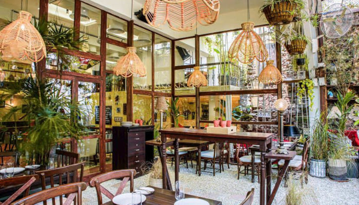 Enjoy the lush greenery, vibrant décor and unmatched fare