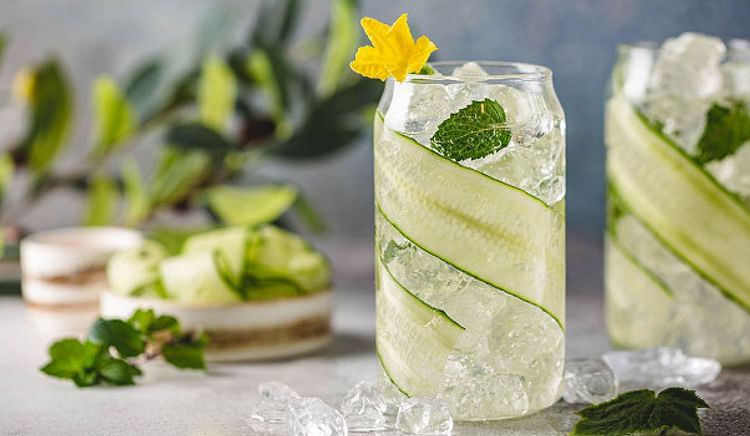 Head out and sip of the finest GnT’s near you!