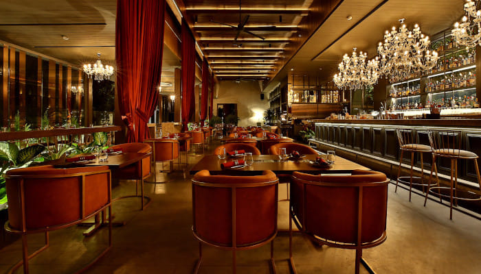 Incredible offers and exclusive discounts to make your festive dining experience a memorable one 