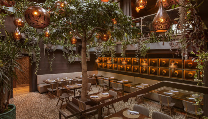 An ultimate escape towards the dining havens in Delhi NCR