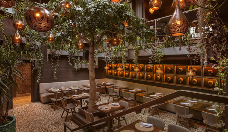 An ultimate escape towards the dining havens in Delhi NCR