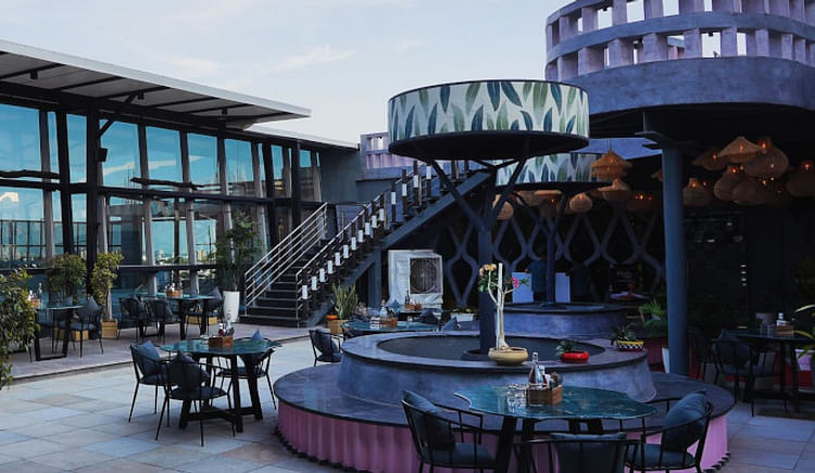 Explore the diverse flavors of Pink City's must-visit veg eateries