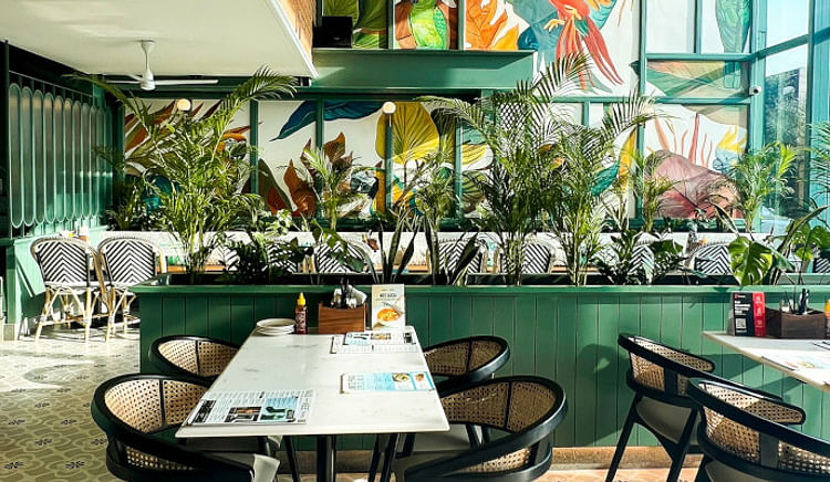 Taste the best of Bengaluru's culinary delights