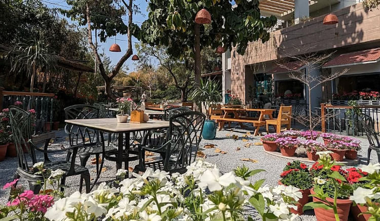 Dine amid nature’s embrace that will satiate your taste buds and soul
