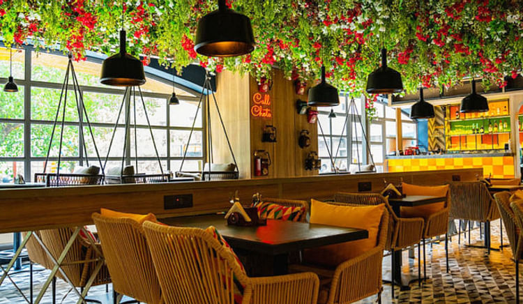 From budget bites to bold flavours, here's the inspiring journey of Call Chotu