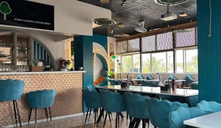 Plant-powered plates, soulful flavours, and a menu that feels anything but limited