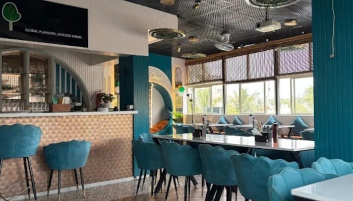Plant-powered plates, soulful flavours, and a menu that feels anything but limited
