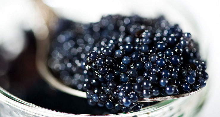 How to buy caviar in India