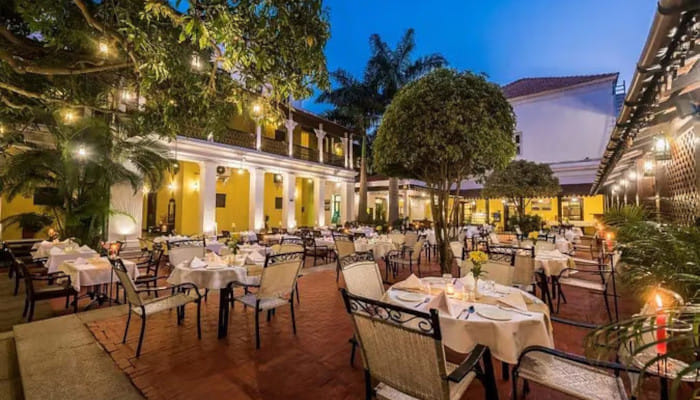  A culinary journey through the city’s festive spirit