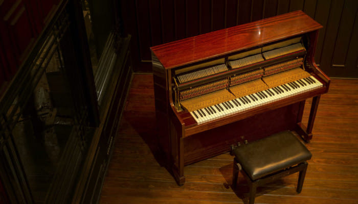 Where every bite comes with a beat and every night feels like a concert