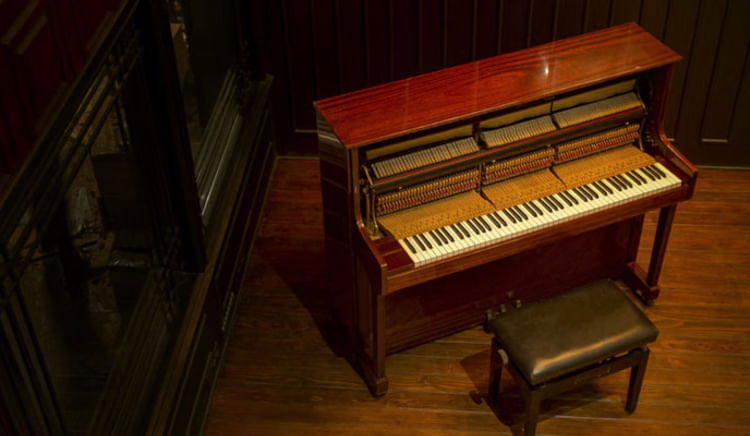 Where every bite comes with a beat and every night feels like a concert