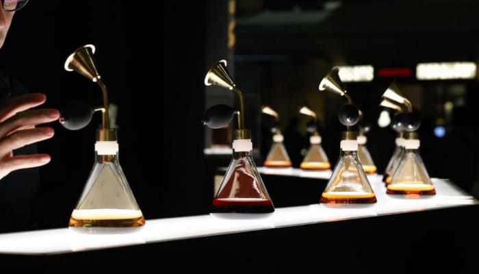 Light, structured, and deeply expressive drinks rooted in tradition