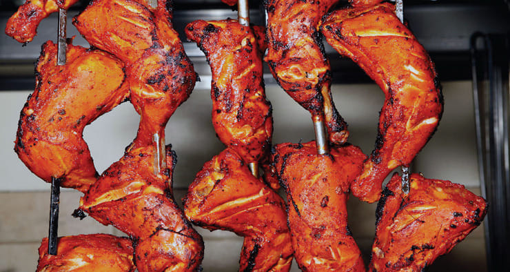 The bird that flew all around the world