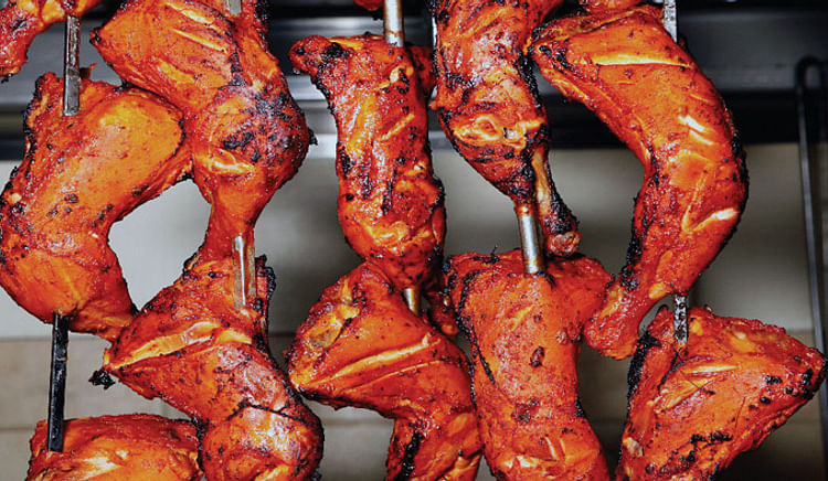 The bird that flew all around the world