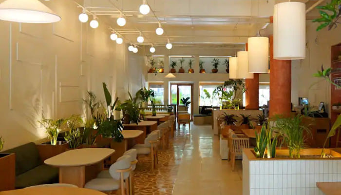 From heritage-inspired outlets to lively bars, these spots are worth visiting for their food, ambience, and dining offers