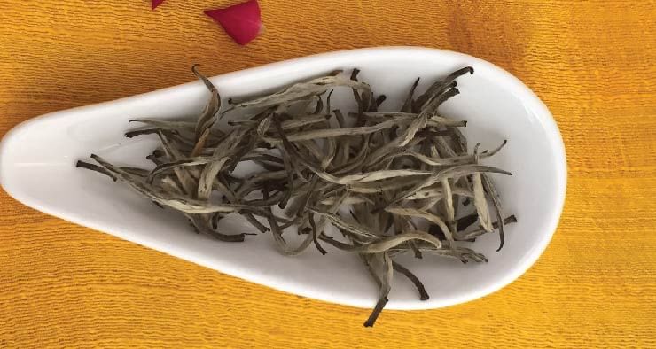 about tea, tea harvest, best cafes for tea in Delhi
