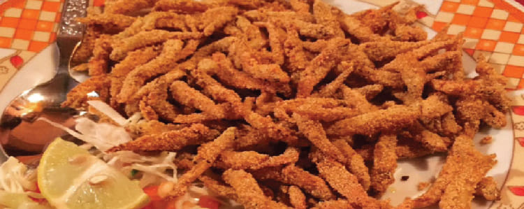 Why you should head to Bhatti Village