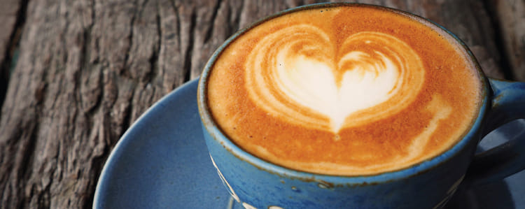 Restaurants in Bengaluru that love to host you and your pet