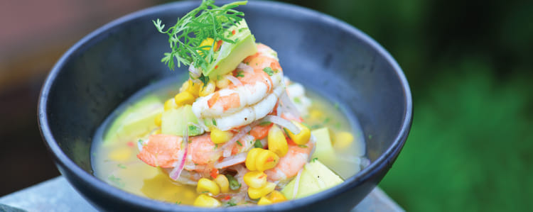 Peruvian food making its way to India