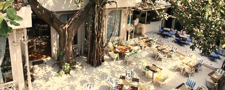 Soaking up the sun this winter