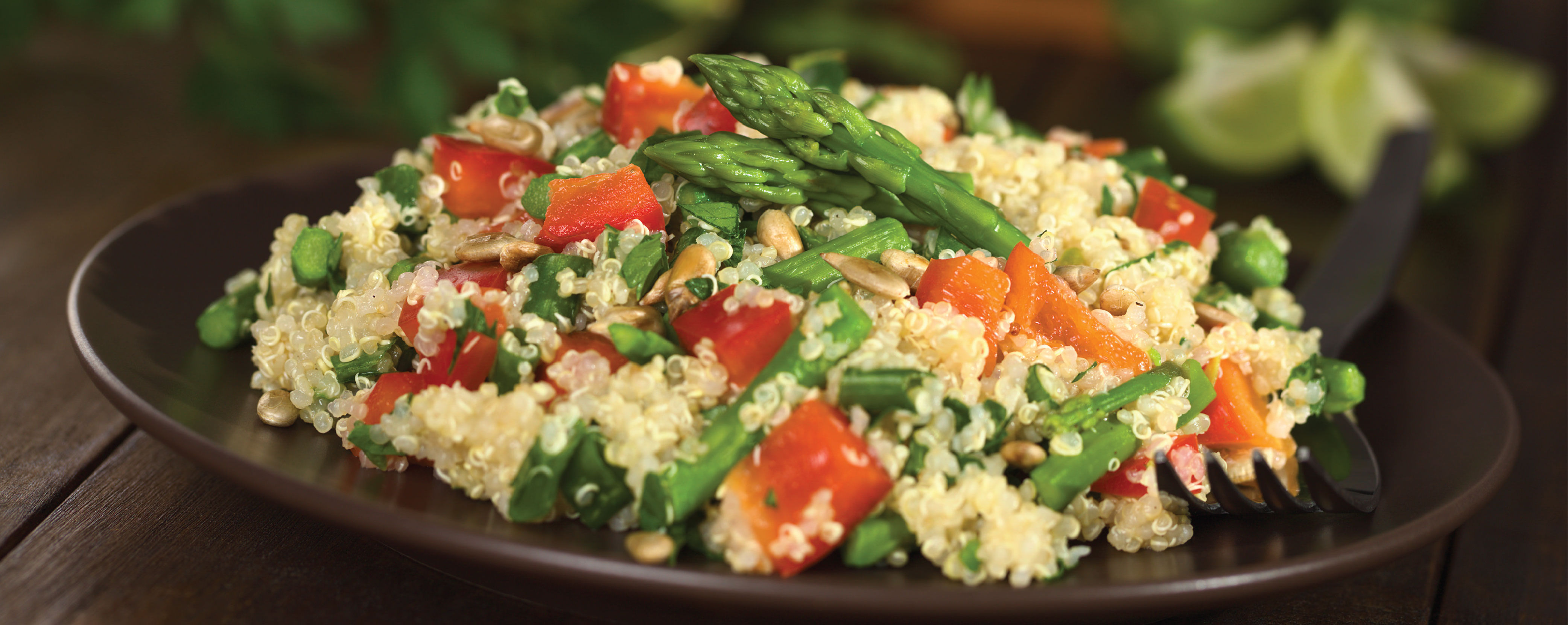 Where to get the best vegan meals in Pune