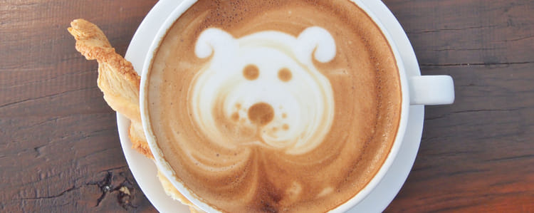 'Bone appétit' - we say	