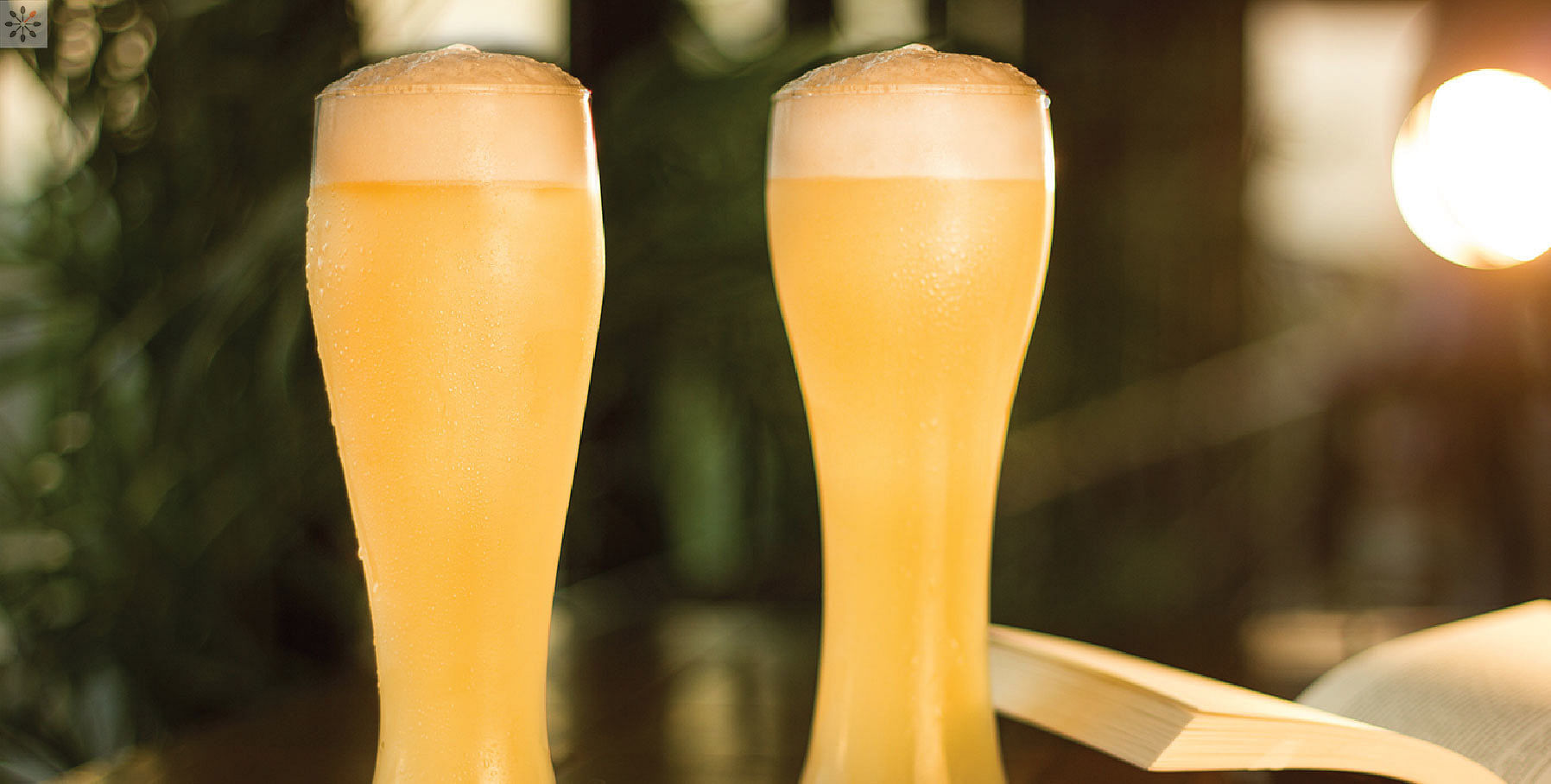 Big Pitcher
