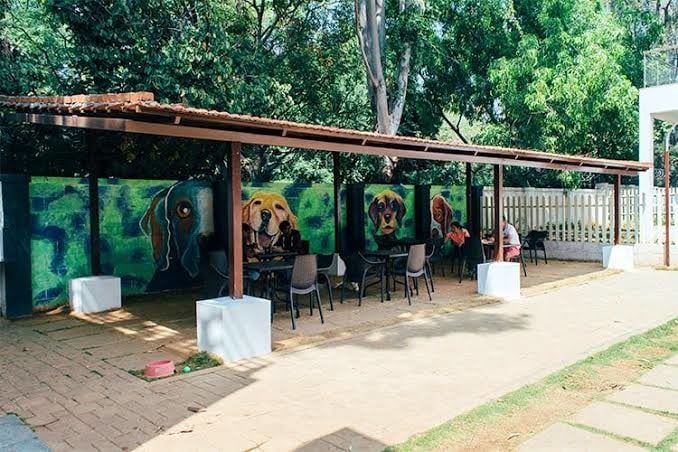 Reviews & Ratings of Chai Point, Whitefield, East Bengaluru