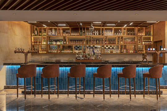 Sultan Raddison Blue Sultan in Radisson Blu Kaushambi Delhi NCR, Ghaziabad | Get Upto 50% Off