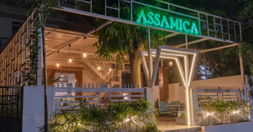 Assamica in Ashok Nagar, Jaipur | Get Upto 50% Off